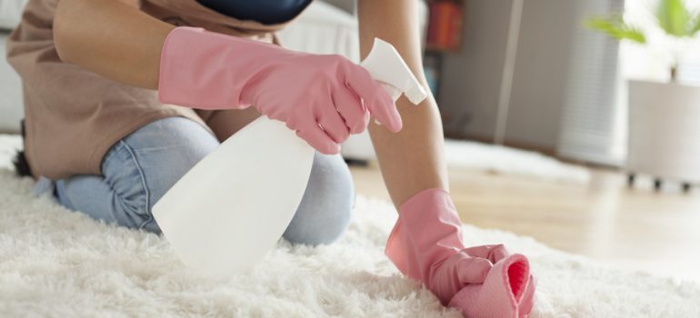 Clean Your Carpet Without a Carpet Cleaner
